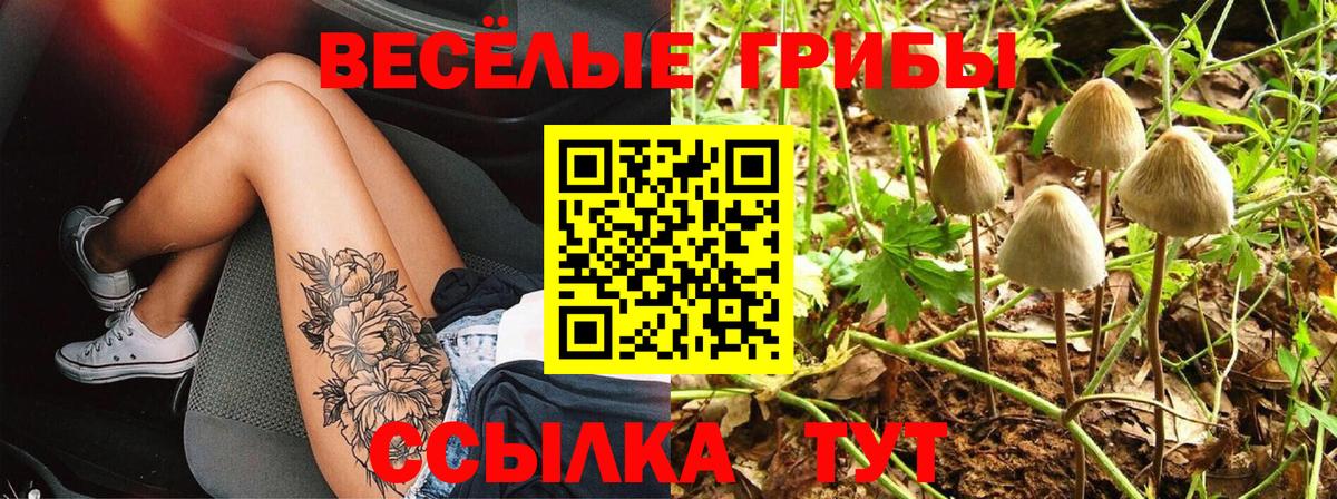 Балахна  Псилоцибиновые грибы мицелий  Вход с VPN 